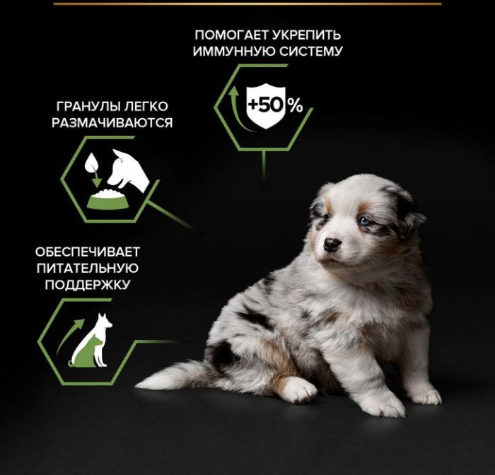 Сухой корм Pro Plan® Starter для щенков мелких и средних пород, с высоким содержанием курицы, Пакет
