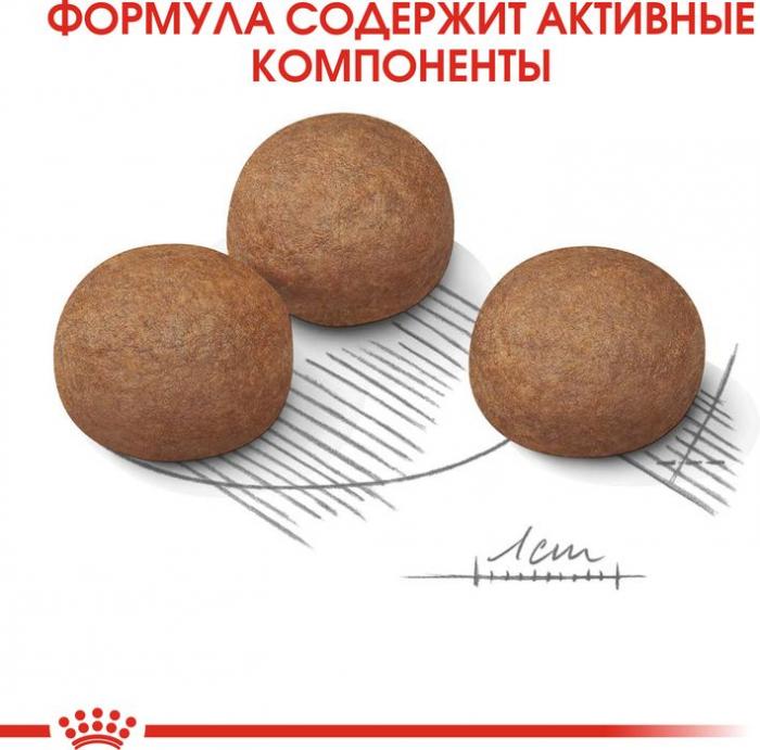 Royal Canin корм для взрослых собак крупных пород с чувствительным пищеварением