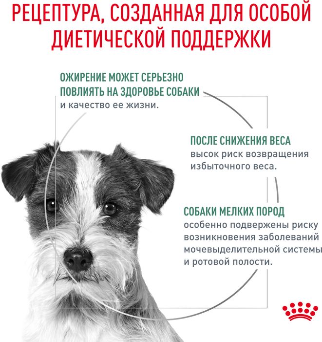 Royal Canin корм для взрослых собак малых пород, с избыточным весом