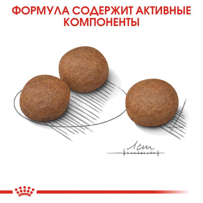 Royal Canin Medium Digestive Care сухой корм для собак средних пород с чувствительным пищеварением