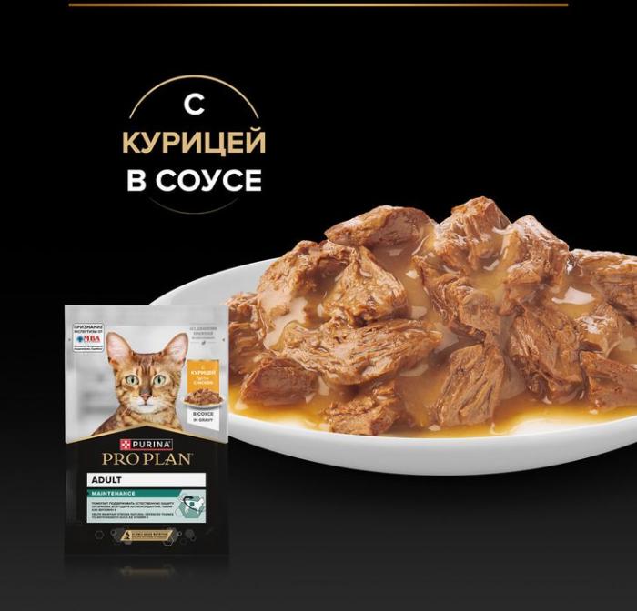 Влажный корм Pro Plan® Maintenance для взрослых кошек, с курицей в соусе