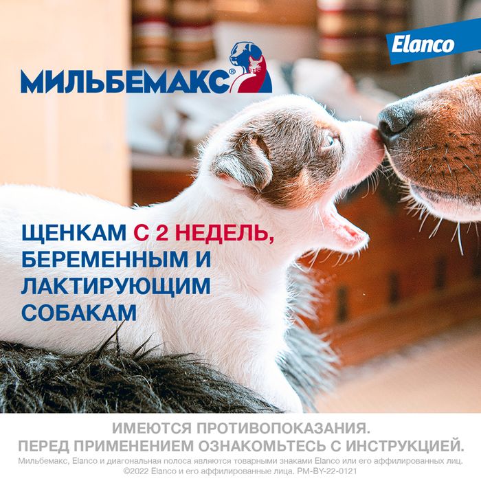 Elanco Мильбемакс таблетки для взрослых собак крупных пород, антигельминтик