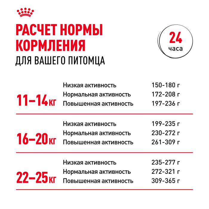 Royal Canin Medium Adult сухой корм для собак средних пород с 12 месяцев до 7 лет