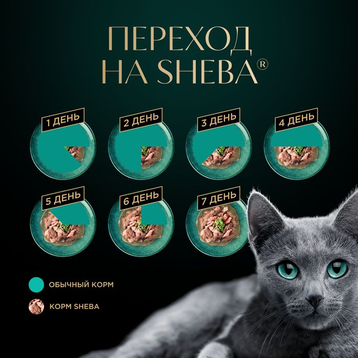 Sheba влажный корм для кошек, нежный паштет в желе, с курицей