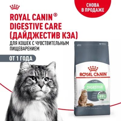 Royal Canin Digestive Care корм для взрослых кошек всех пород, с чувствительной пищеварительной системой