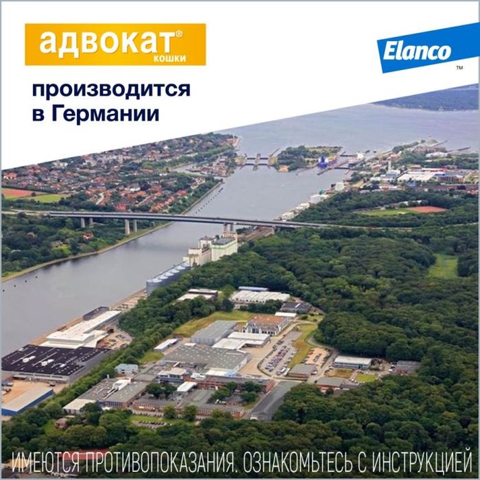 Elanco Адвокат капли для котят и кошек 4-8 кг, от клещей и блох