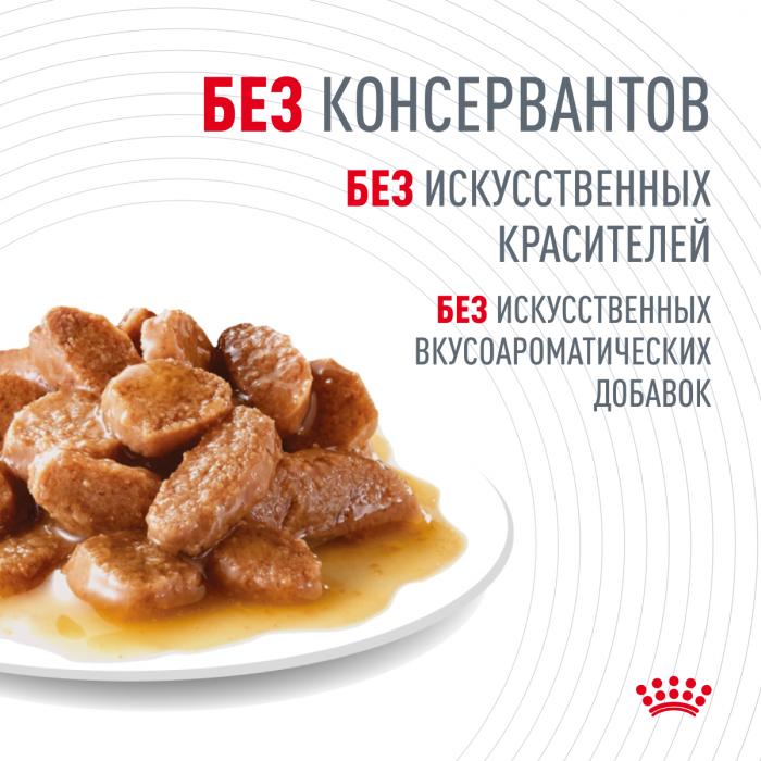 Royal Canin Hair&Skin влажный корм для кошек, здоровье кожи и шерсти, ломтики в соусе