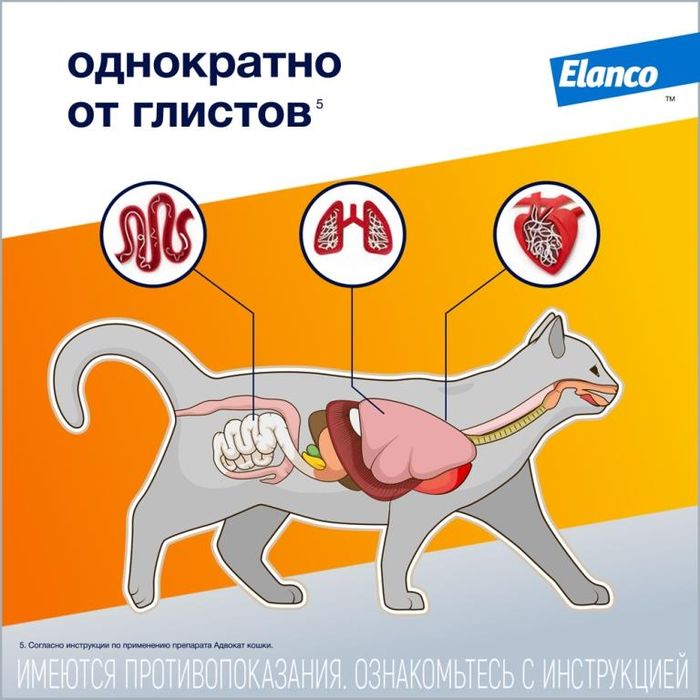 Elanco Адвокат капли для котят и кошек 4-8 кг, от клещей и блох