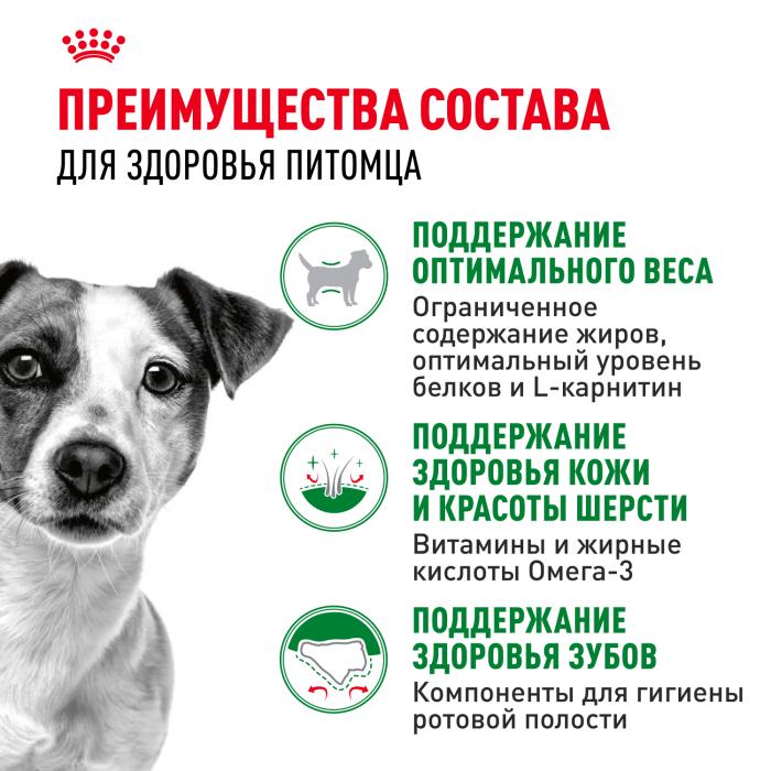 Royal Canin Mini Adult сухой корм для собак мелких пород