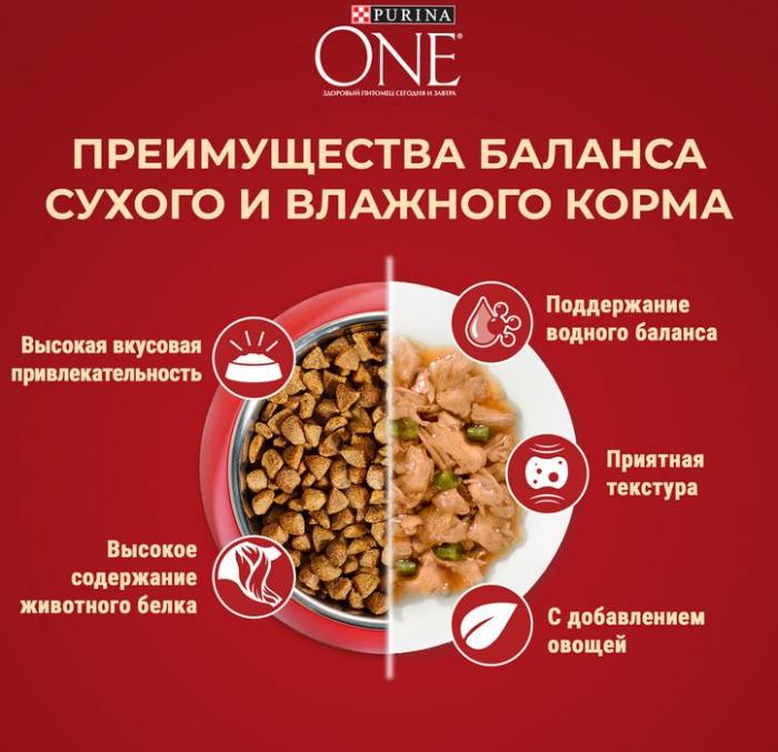 Сухой корм Purina ONE® для собак мелких пород с активным образом жизни, с высоким содержанием курицы и с рисом