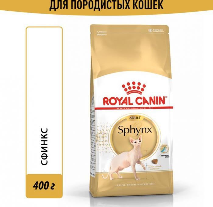 Royal Canin корм для взрослой кошки породы Сфинкс