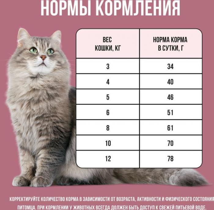 Bowl Wow корм для стерилизованных кошек, с индейкой, курицей и добавлением свеклы