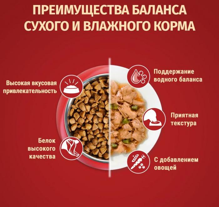 Сухой корм Purina ONE® для взрослых собак мелких и карликовых пород, с высоким содержанием говядины и с рисом