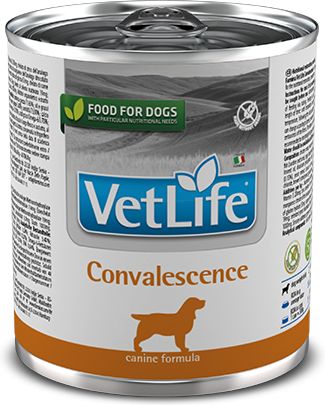Farmina Vet Life Convalescence, консервы для собак в период восстановления после перенесенных заболеваний