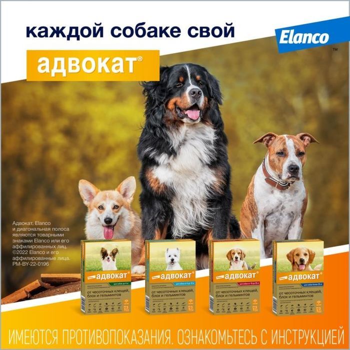 Elanco Адвокат капли для щенков и собак 4-10 кг, от клещей, блох и гельминтов