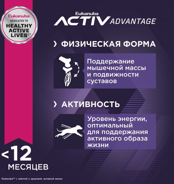 Eukanuba сухой корм для щенков всех пород, ягненок