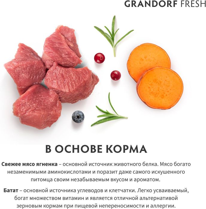 Grandorf Fresh корм для кошек, беззерновой, с живыми пробиотиками, свежее мясо ягненка с бататом
