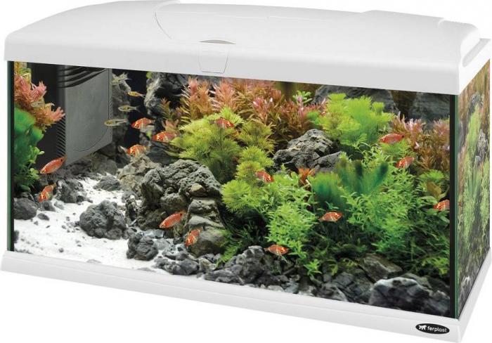 Ferplast стеклянный аквариум CAPRI 80 LED с лампой, внутренним фильтром и нагревателем