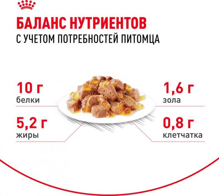 Royal Canin влажный корм для пожилых (12+) кошек, здоровье суставов, почек, мелкие кусочки в желе