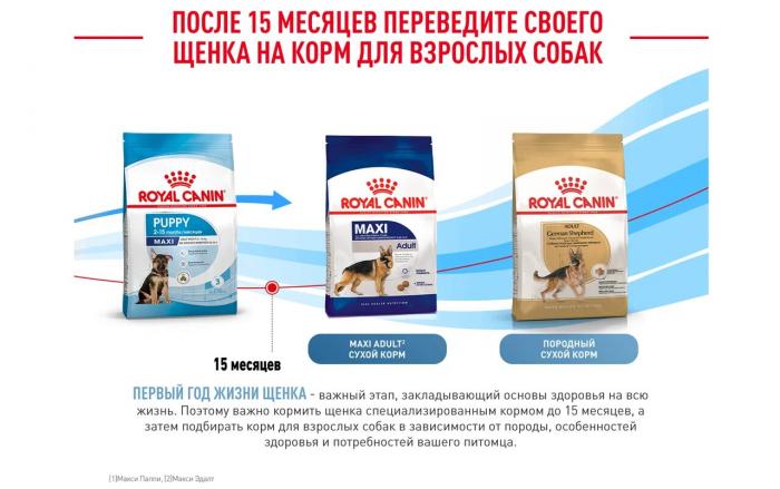 Royal Canin Maxi Puppy сухой корм для щенков крупных пород