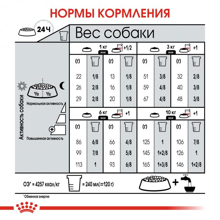 Royal Canin Mini Digestive Care сухой корм для собак мелких пород с чувствительным пищеварением с 10 месяцев до 8 лет