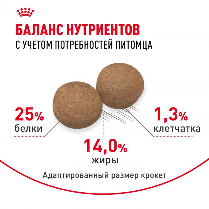 Royal Canin Medium Adult сухой корм для собак средних пород с 12 месяцев до 7 лет