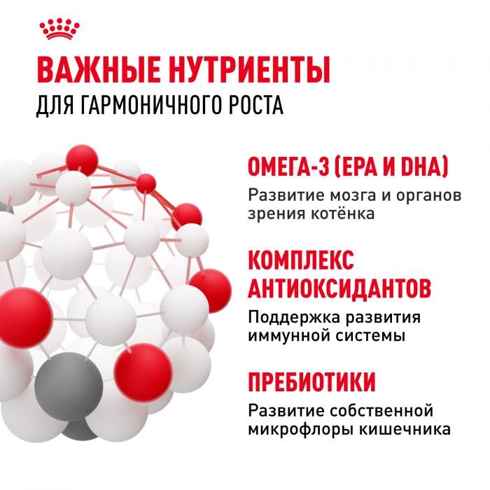 Royal Canin Kitten сухой корм для котят