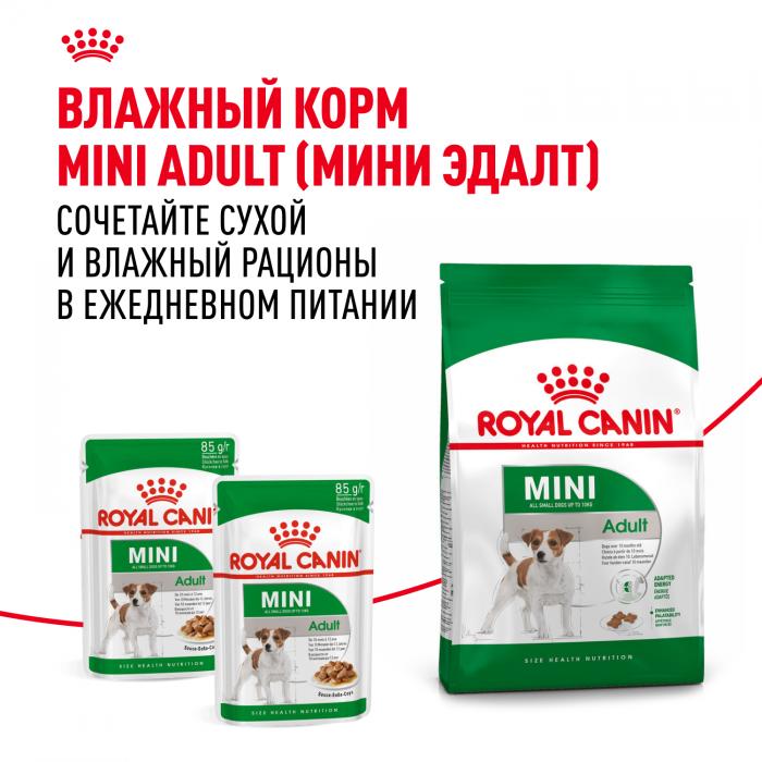 Royal Canin Mini Adult сухой корм для собак мелких пород