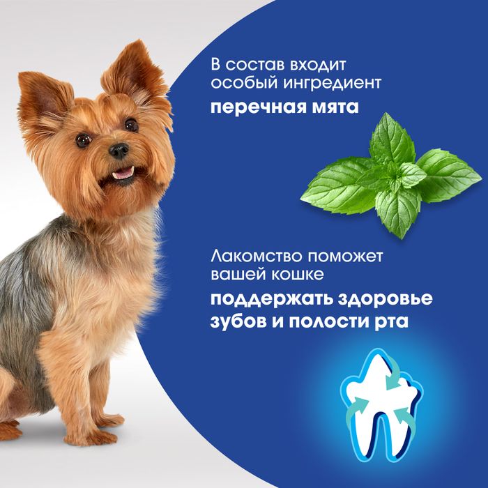 Perfect Fit Oral Care лакомство для собак малых пород, для поддержания здоровья зубов и полости рта, с говядиной и добавлением мяты