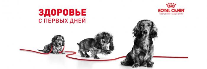 Royal Canin Maxi Puppy сухой корм для щенков крупных пород