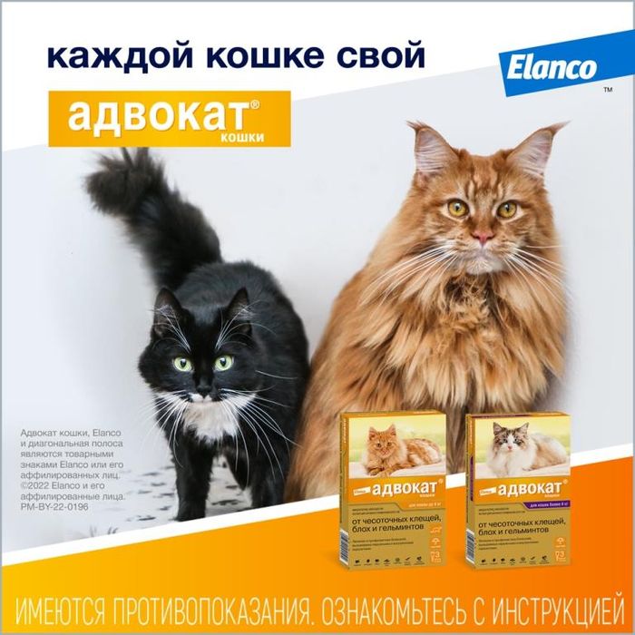 Elanco Адвокат капли для котят и кошек 4-8 кг, от клещей и блох