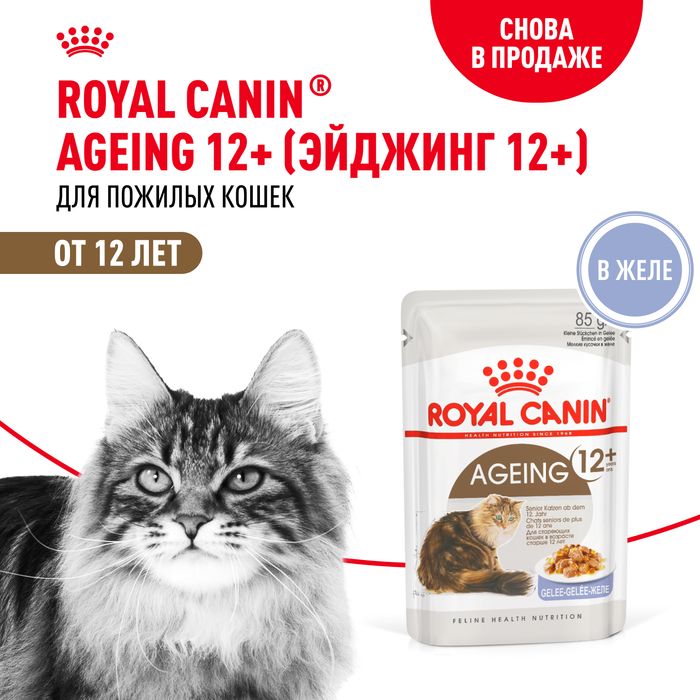 Royal Canin влажный корм для пожилых (12+) кошек, здоровье суставов, почек, мелкие кусочки в желе