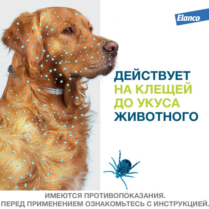 Elanco Форесто ошейник для щенков и собак менее 8 кг, от клещей и блох