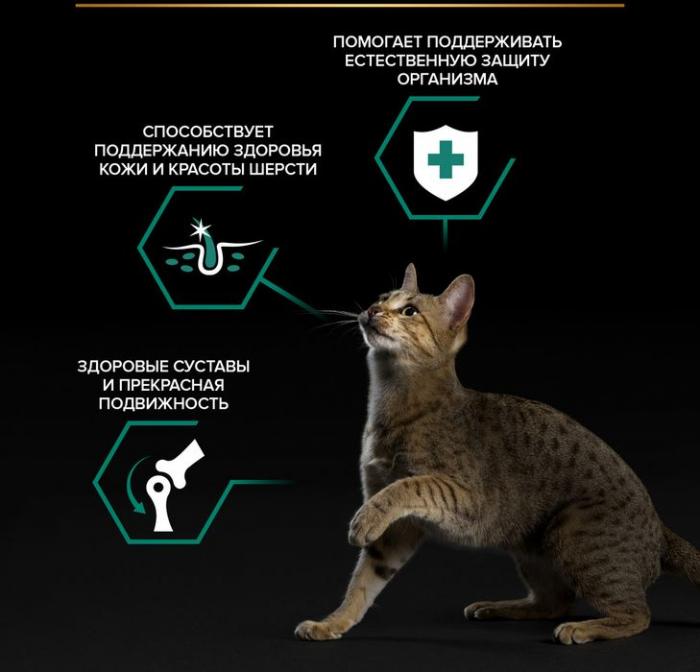 Влажный корм Pro Plan® Maintenance для взрослых кошек, с ягненком в желе
