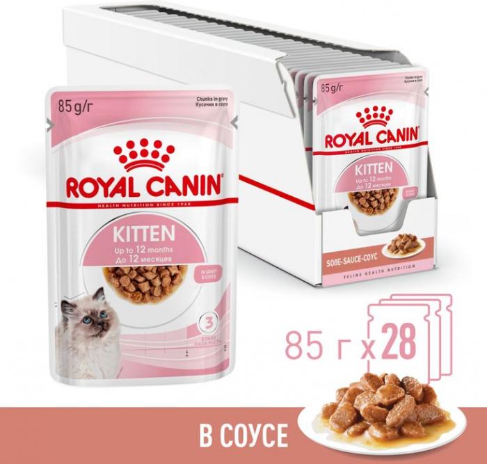 Royal Canin влажный корм для котят всех пород, в соусе