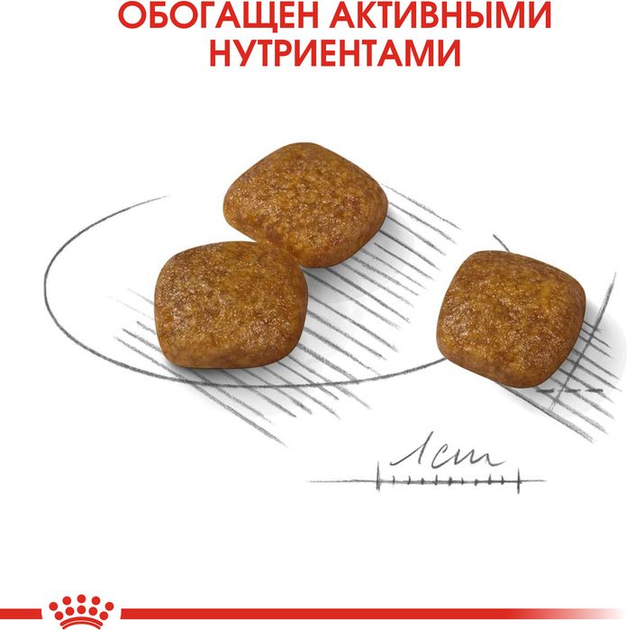 Royal Canin корм для взрослых собак малых пород с чувствительной мочевыделительной системой