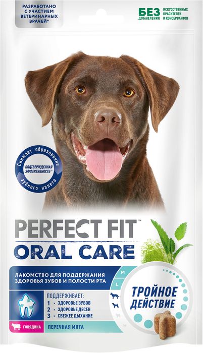 Perfect Fit Oral Care лакомство для собак средних и крупных пород, для поддержания здоровья зубов и полости рта, с говядиной и добавлением мяты