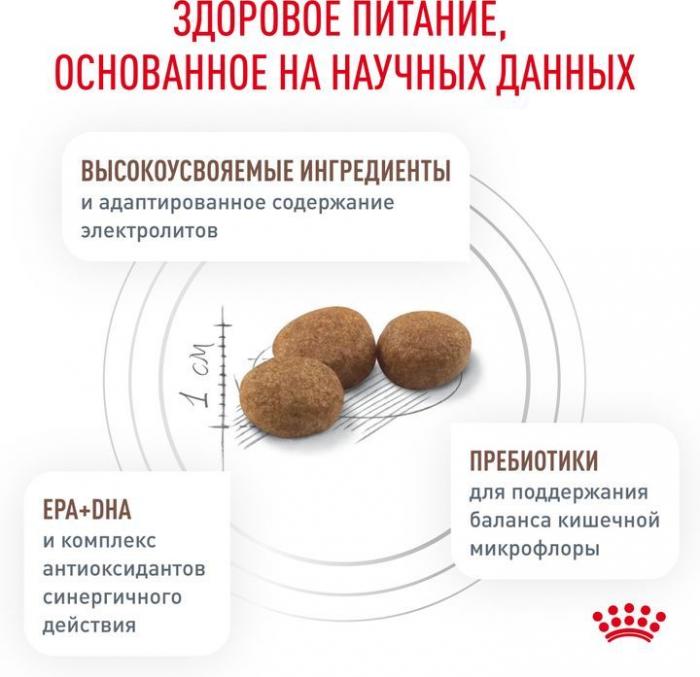 Royal Canin корм для взрослых и пожилых собак всех пород при нарушениях пищеварения