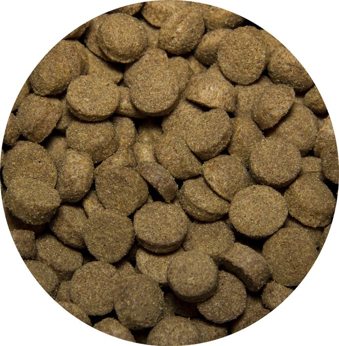 All Dogs корм для взрослых собак всех пород, с говядиной и овощами