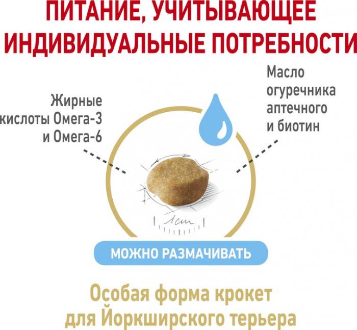 Royal Canin корм для собак породы Йоркширский Терьер в возрасте 8 лет и старше