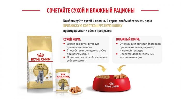 Royal Canin British Shorthair Adult сухой корм для кошек британской короткошерстной породы старше 12 месяцев
