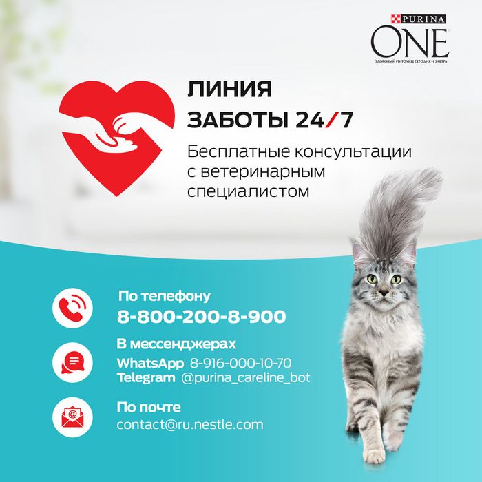 Сухой корм Purina ONE® полнорационный для взрослых кошек с чувствительным пищеварением и разборчивым вкусом в еде, с высоким содержанием индейки