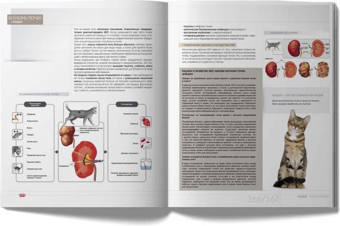 Royal Canin Энциклопедия Кошки книга о кошках