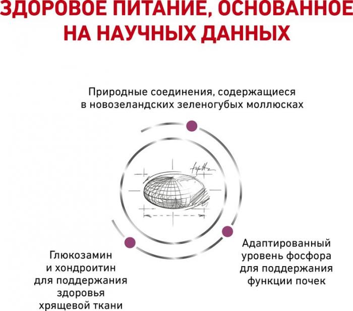 Royal Canin Mobility лечебный корм для кошек при заболеваниях опорно-двигательного аппарата