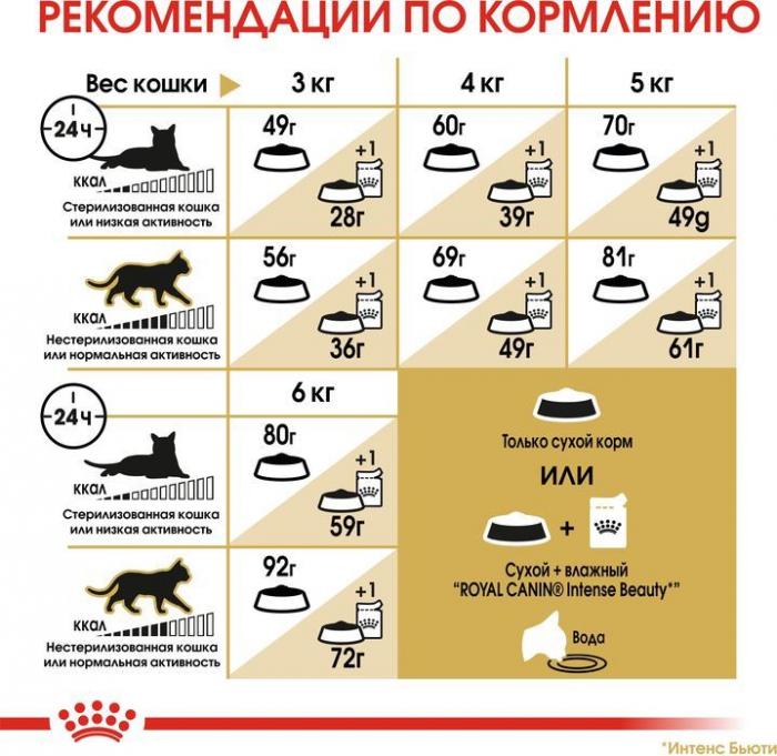 Royal Canin корм для взрослой кошки породы Сфинкс