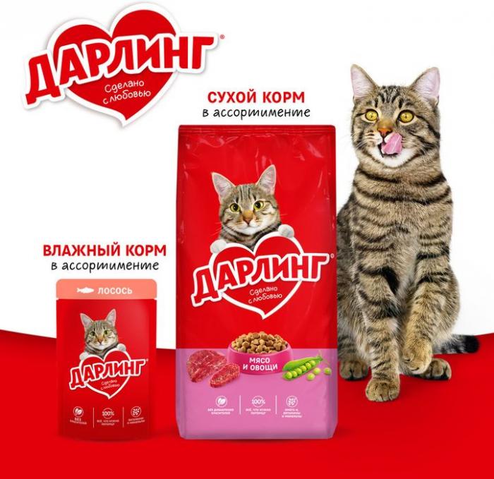 Влажный корм ДАРЛИНГ для взрослых кошек, с курицей в подливе