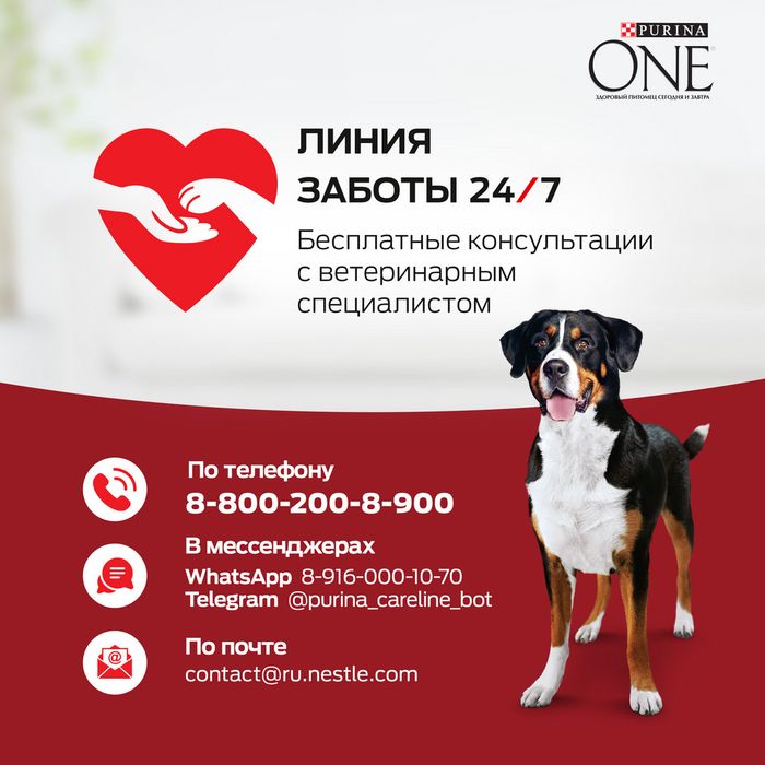 Сухой корм Purina ONE® для взрослых собак средних и крупных пород, с высоким содержанием говядины и с рисом