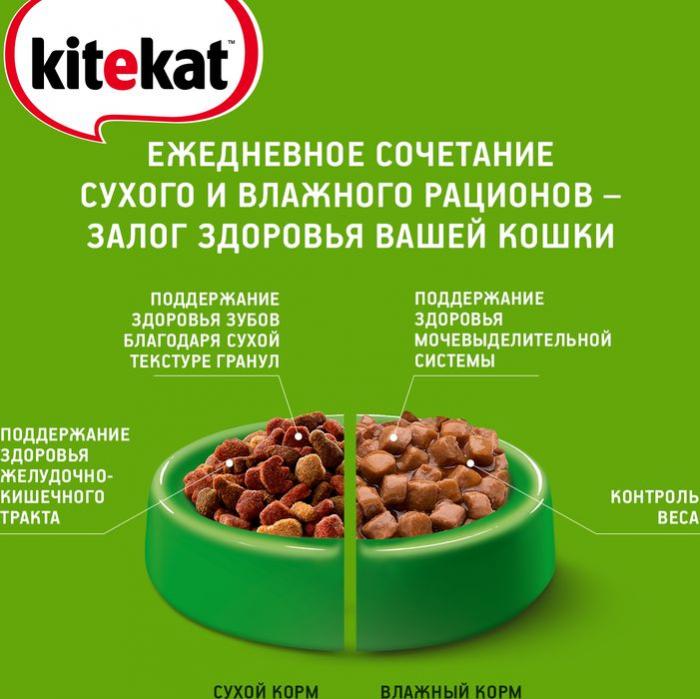 Kitekat влажный корм для кошек, нежный кролик в желе