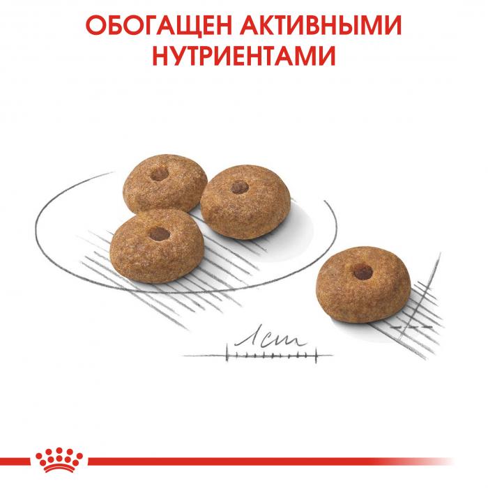 Royal Canin сухой корм для взрослых стерилизованных собак малых пород