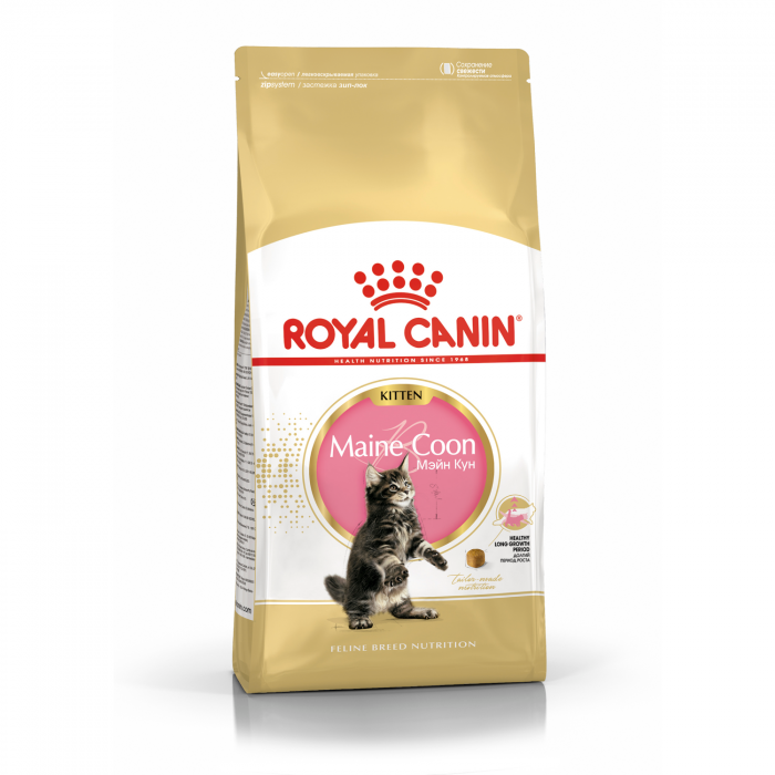 Royal Canin Kitten Maine Coon сухой корм для котят породы мейн-кун